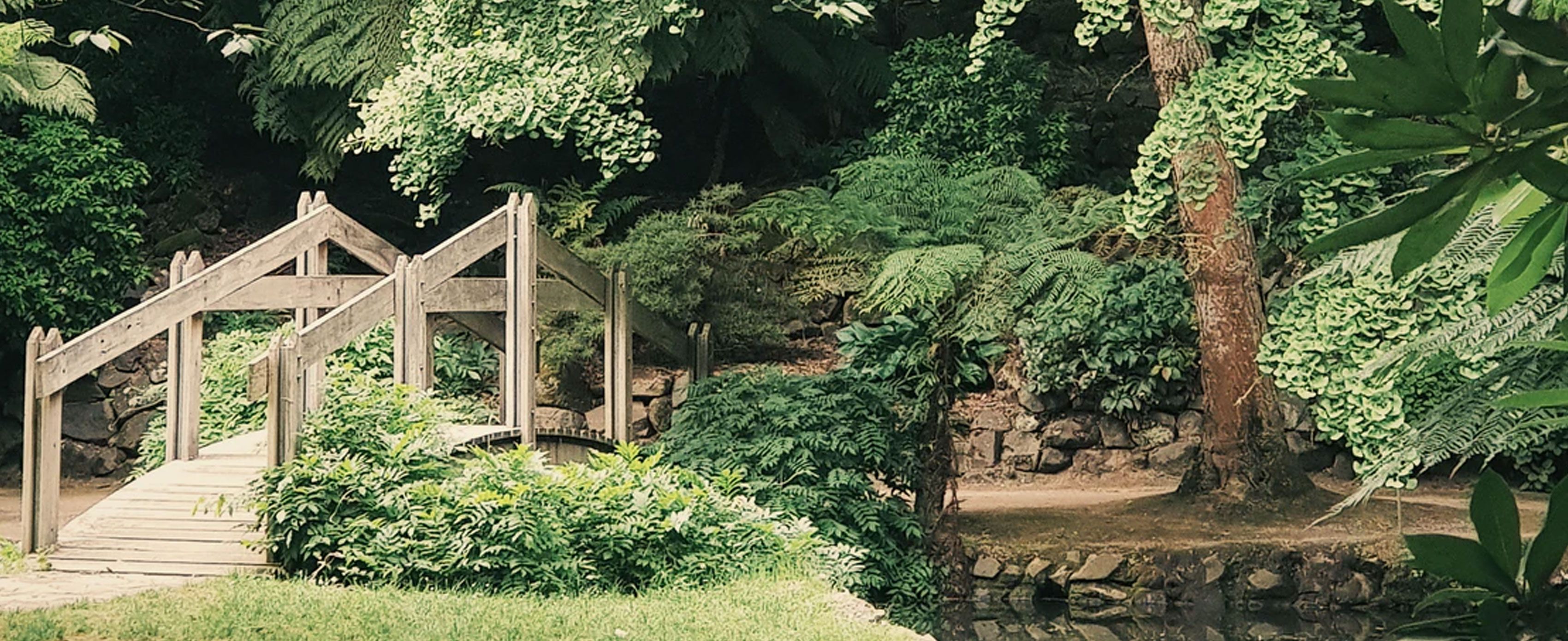 landscaper-testimonials-background